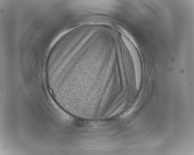 X0000070370803200606301855