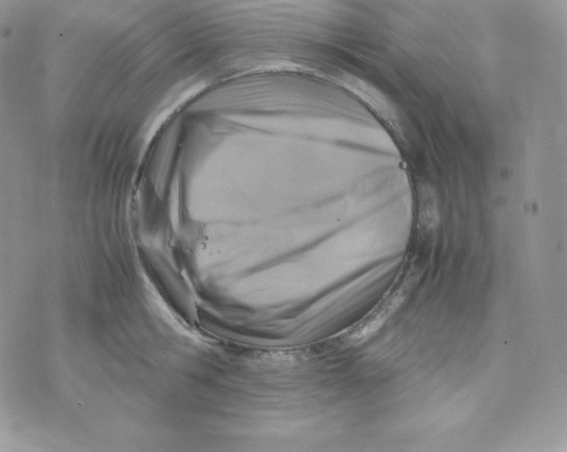 X0000070370806200606301855