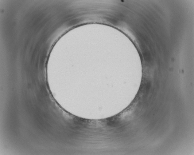 X0000070370807200606301855