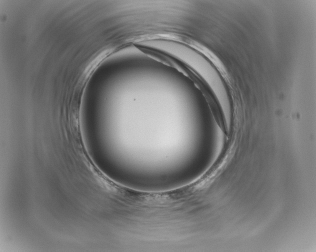 X0000070370809200606301855