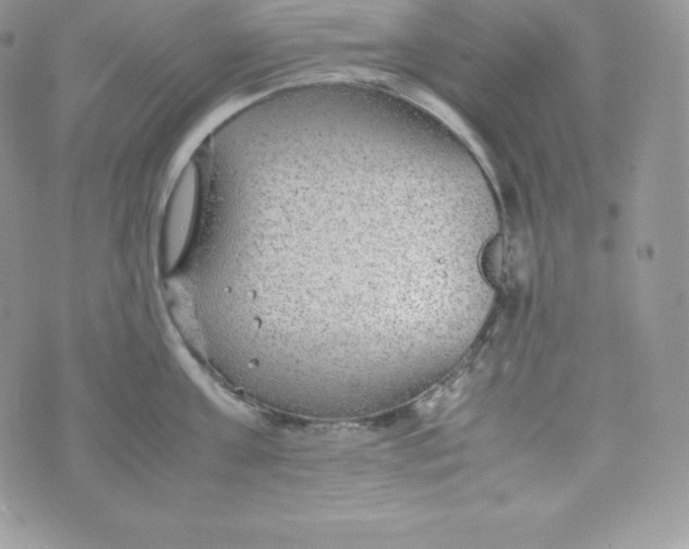 X0000070370811200606301855