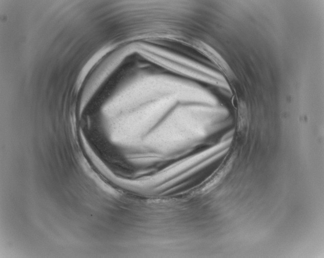 X0000070370812200606301855