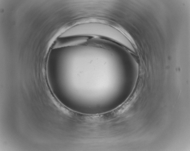 X0000070370813200606301855