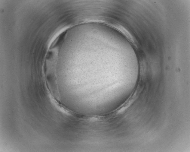 X0000070370814200606301855