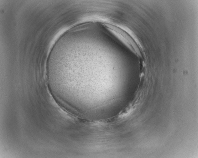 X0000070370815200606301855