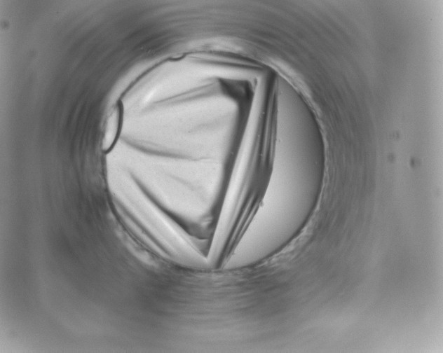 X0000070370816200606301855