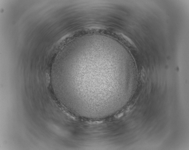 X0000070370821200606301854