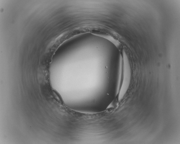 X0000070370822200606301854