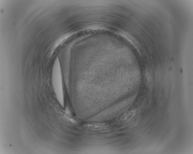 X0000070370823200606301854