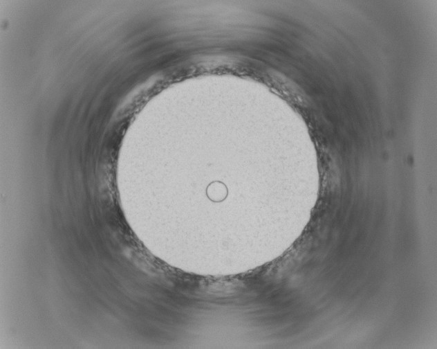 X0000070370824200606301854