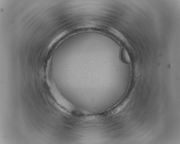 X0000070370826200606301854