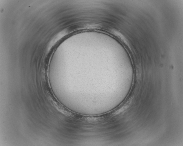 X0000070370827200606301854