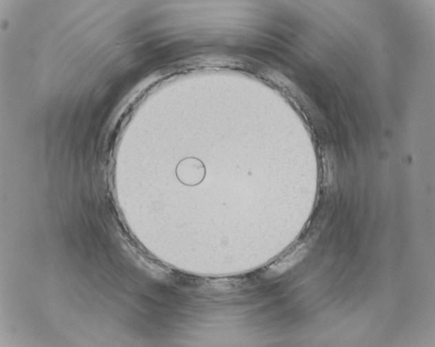 X0000070370828200606301854