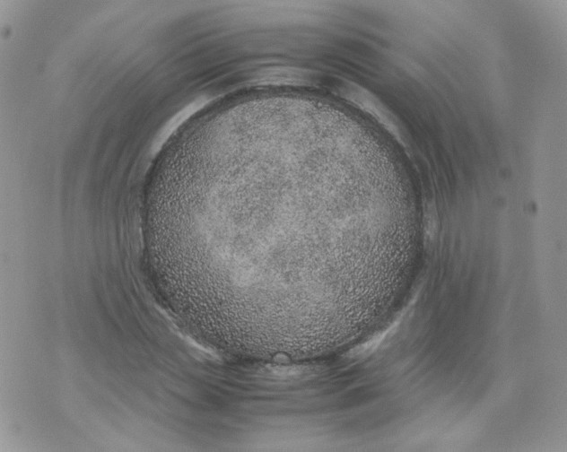 X0000070370829200606301854