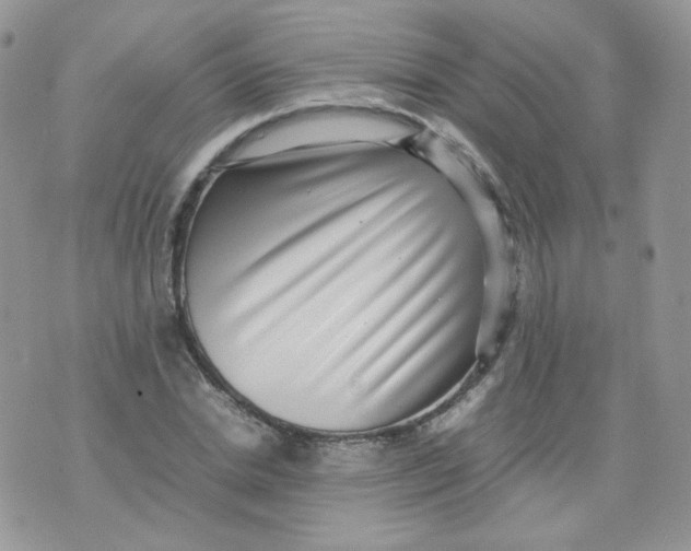 X0000070370830200606301854