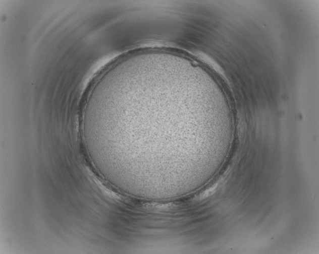 X0000070370831200606301854