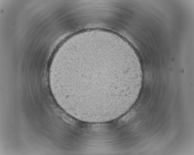 X0000070370832200606301854