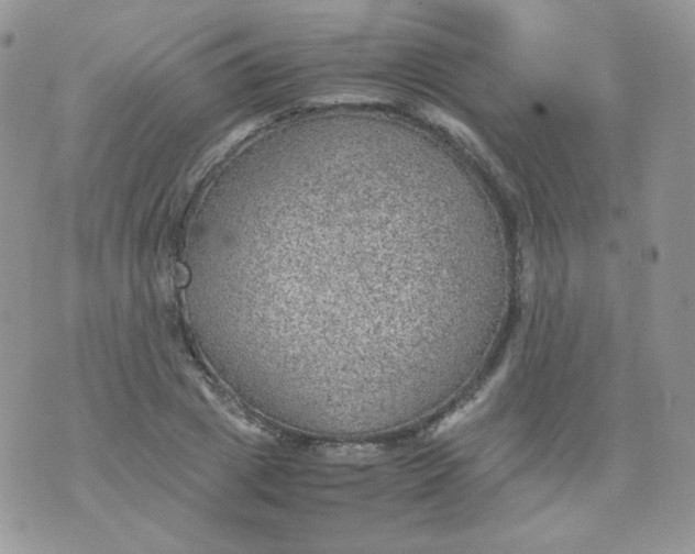 X0000070370833200606301854