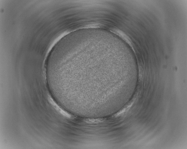 X0000070370835200606301854