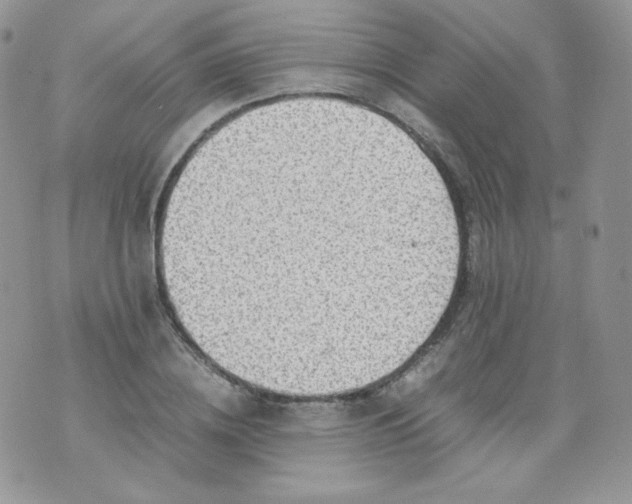 X0000070370836200606301854