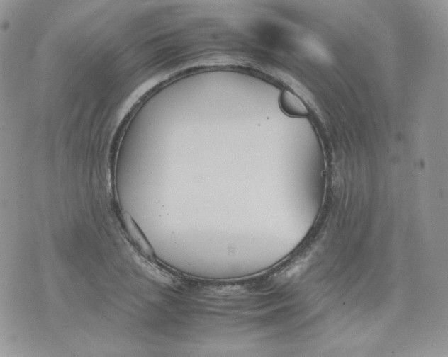 X0000070370837200606301854