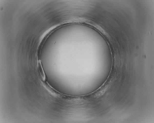 X0000070370838200606301854