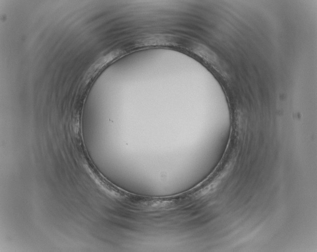 X0000070370841200606301854