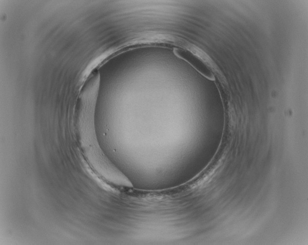 X0000070370842200606301854