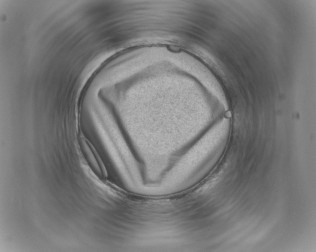 X0000070370844200606301854