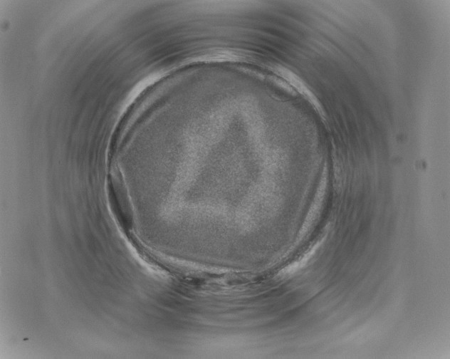 X0000070370845200606301854