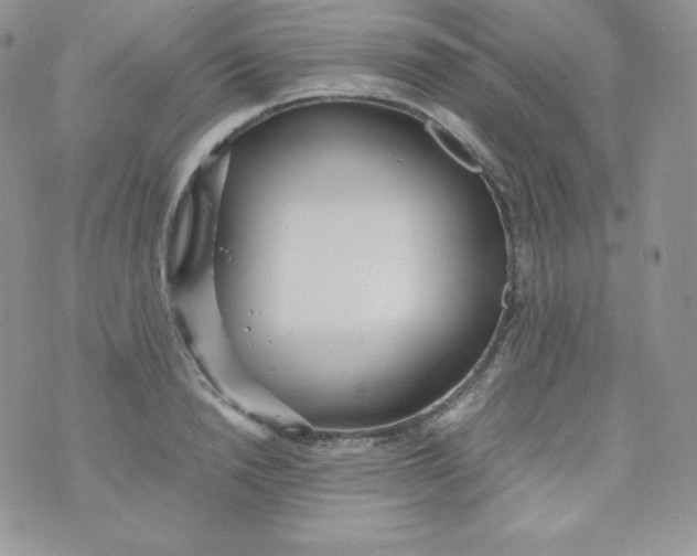 X0000070370846200606301854