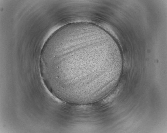 X0000070370847200606301854