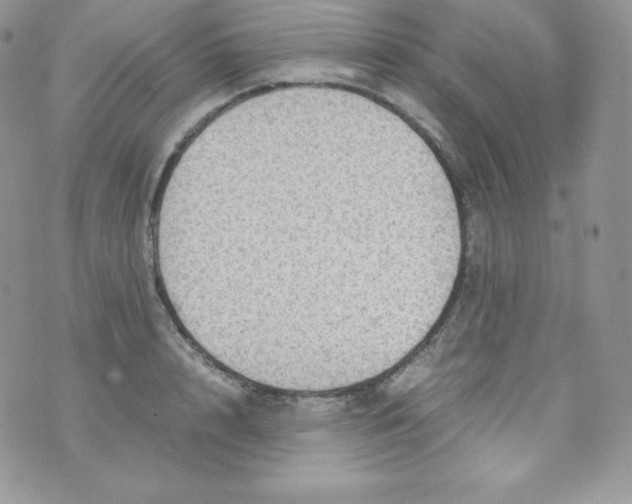 X0000070370848200606301854