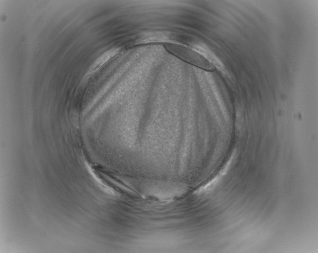 X0000070370849200606301854