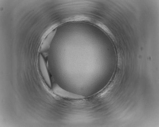 X0000070370850200606301854