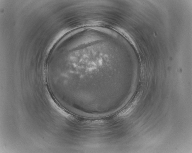 X0000070370851200606301854