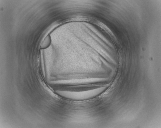 X0000070370852200606301854