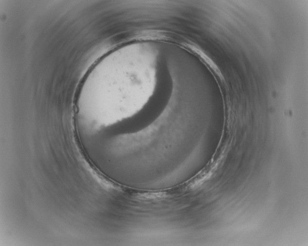 X0000070370853200606301854