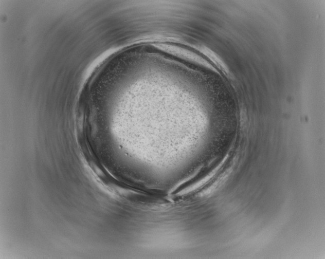 X0000070370854200606301854