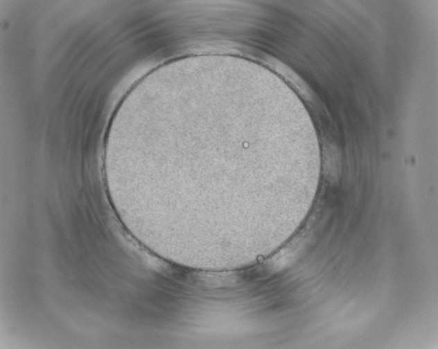 X0000070370856200606301854