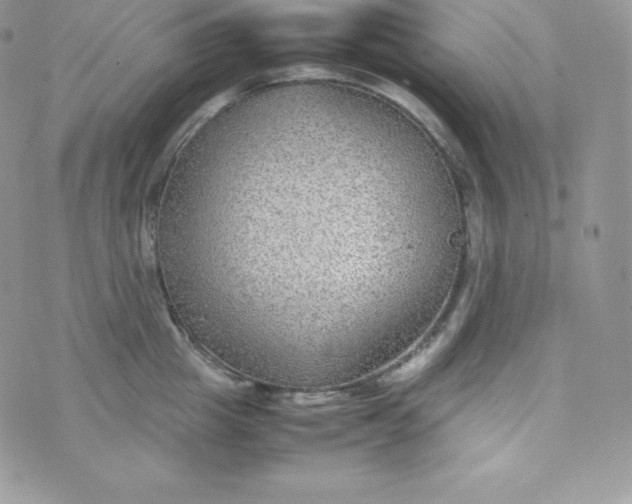 X0000070370857200606301854