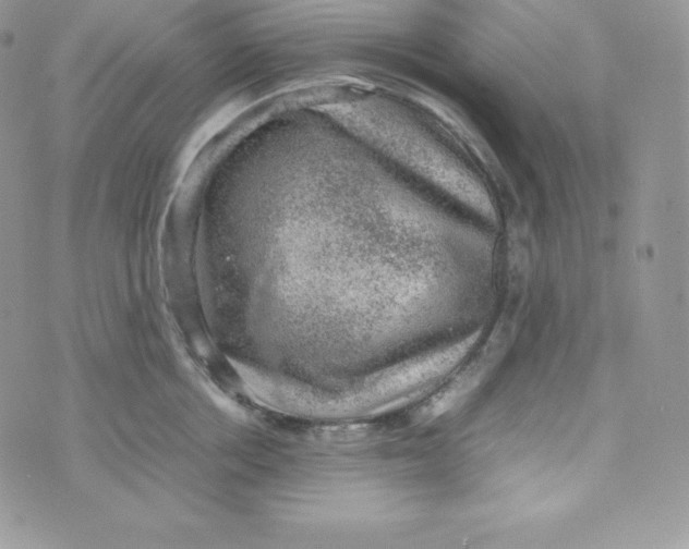 X0000070370858200606301854