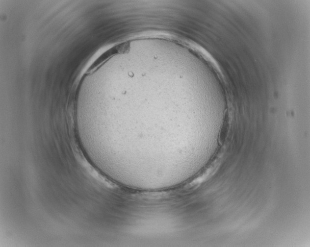 X0000070370860200606301854