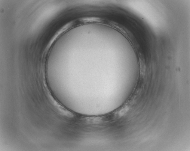 X0000070370861200606301854