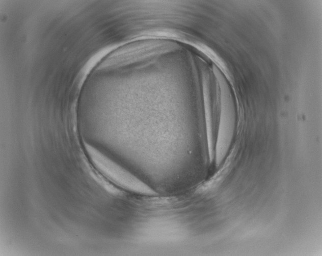 X0000070370862200606301854