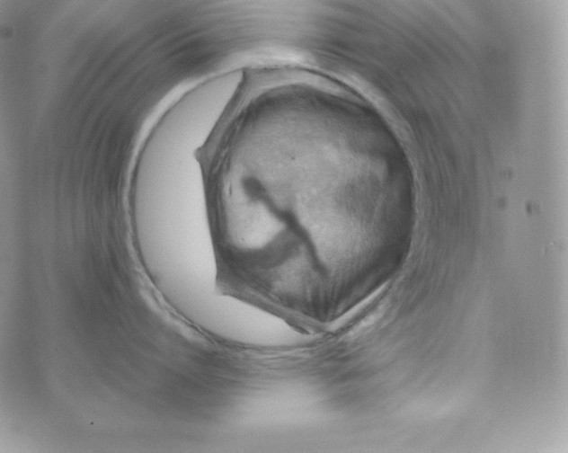 X0000070370864200606301855