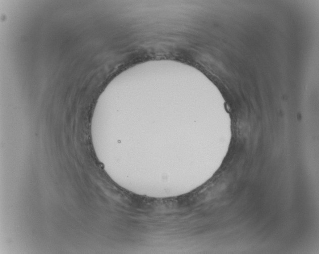 X0000070370865200606301854