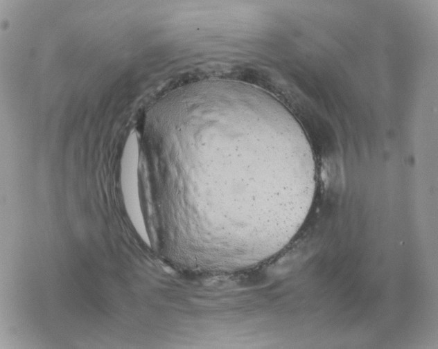 X0000070370867200606301854