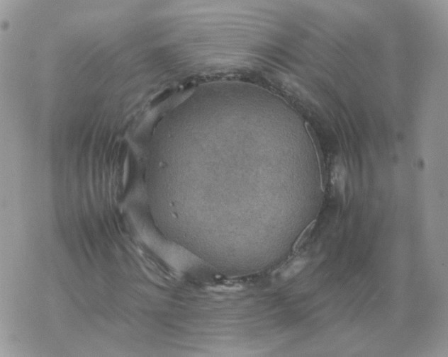 X0000070370868200606301854