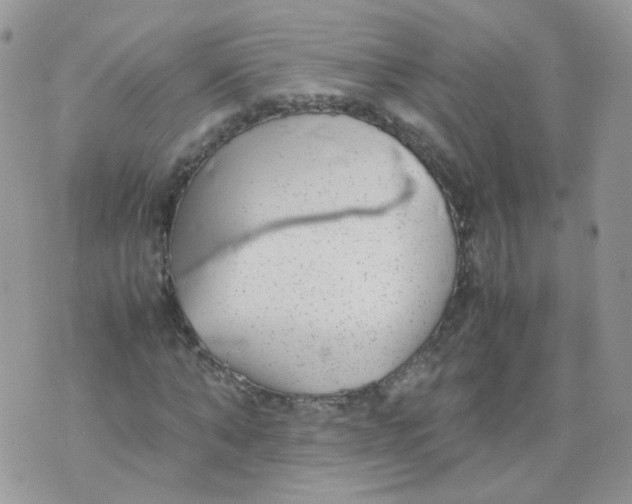 X0000070370870200606301854